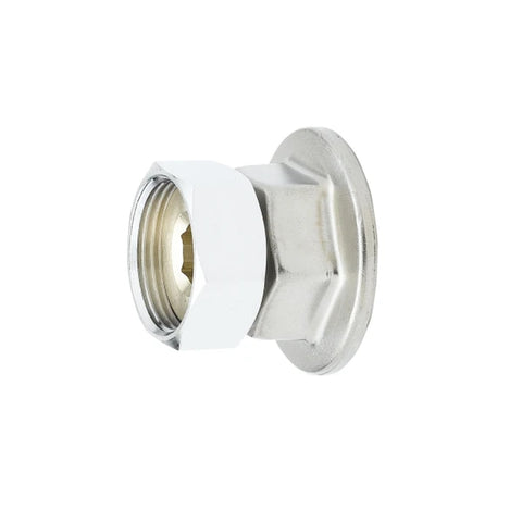 T&S Brass 00AA 1/2" NPT Female Eccentric Flanged Inlet