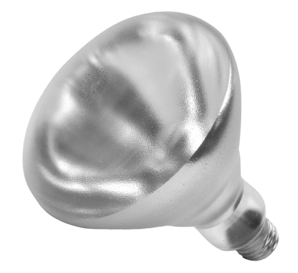 01697W Shat-R-Shield Bulb Lamp Heat Clear