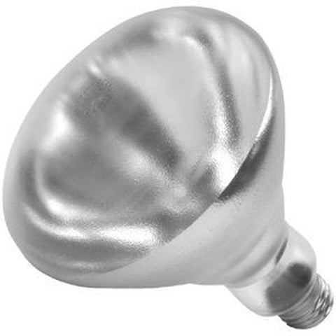Shat-R-Shield 01697W Shatter-Resistant 250W R40 Incandescent Lamp, Medium E26 Base, 2700K, 1200 Lumens