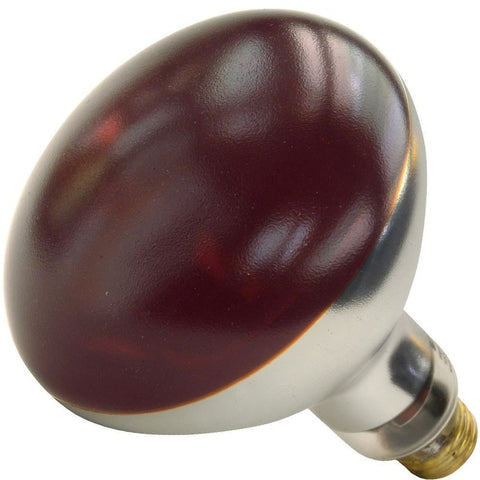 Shat-R-Shield 01699W 250W R40 Shatter-Resistant Incandescent Heat Lamp