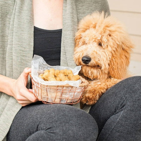 Nordic Ware 30922 Aluminum Puppy Love Dog Treat Pan