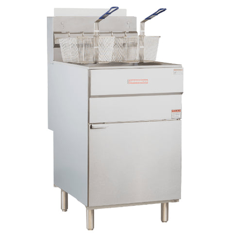 Commercial deep fryer with two baskets 
