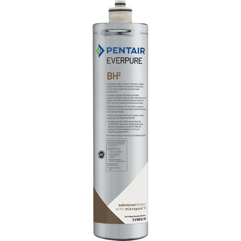 Everpure EV961250 BH2 Replacement Water Filter Cartridge