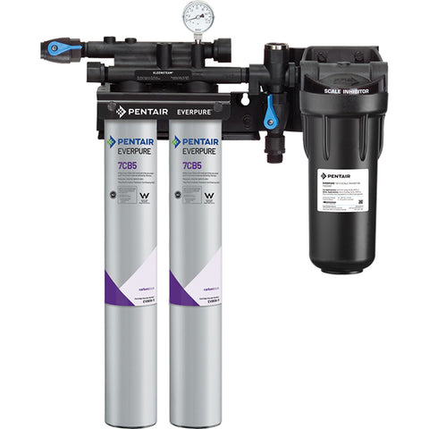 Everpure EV979721 Kleensteam II Single Water Filtration System