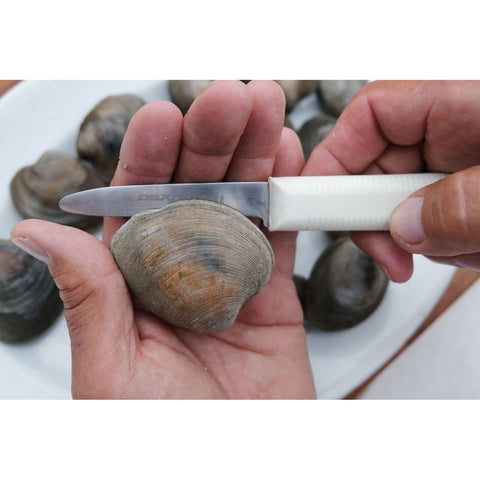 Dexter Russell S127PCP SANI-SAFE 3" Clam Knife in Clam-Pak