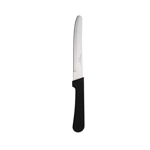 Libertyware SK-PR2 Economy Steak Knife with Plastic Handle, Rounded End