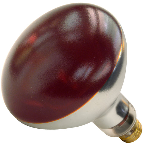 01699W Shat-R-Shield Bulb Lamp Heat Red-SHAT-R-SHIELD