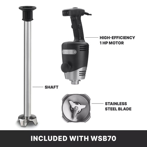 Waring WSB70 Big Stik 21 in Heavy-Duty Variable Speed Immersion Blender, 1 HP