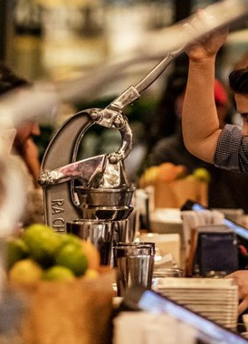 J500 Ra Chand Ultimate Manual Juicer