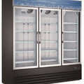 EGDM-60F-HC Merchandiser Freezer 3 - Glass doors-Enhanced Refrigeration