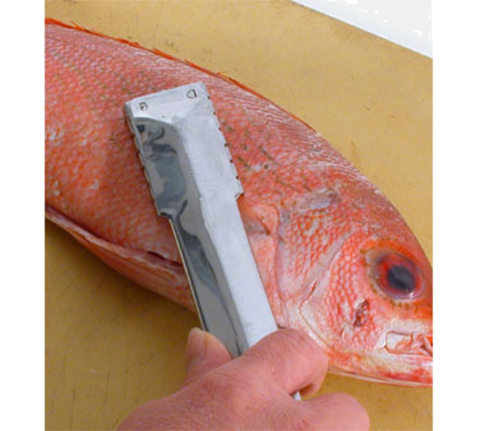 48607 Town Fish Scaler, 9"L, Stainless Steel