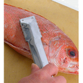 48607 Town Fish Scaler, 9"L, Stainless Steel-TOWN
