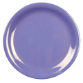 Cr109Bu Ea Tgroup 9" Dia. Plate Blue Each-Thunder Group